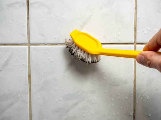 Best Emergency Mold Removal  in Lyles, TN