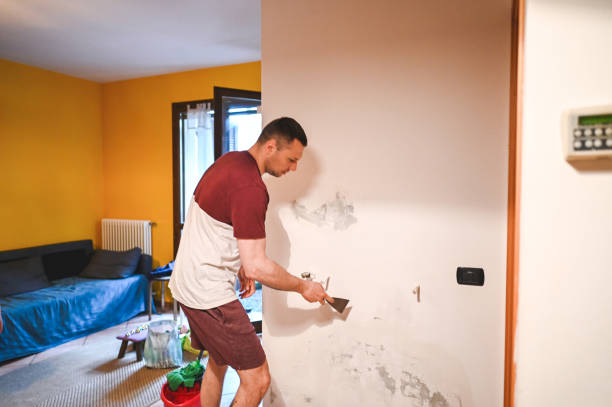Best Mold Remediation Experts  in Lyles, TN